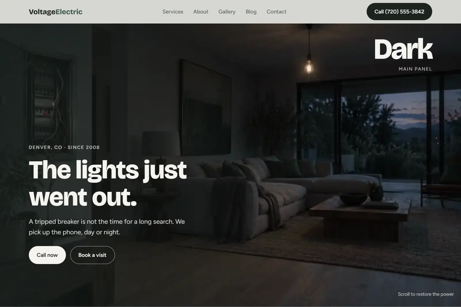 Screenshot of the Electrical demo website on a computer