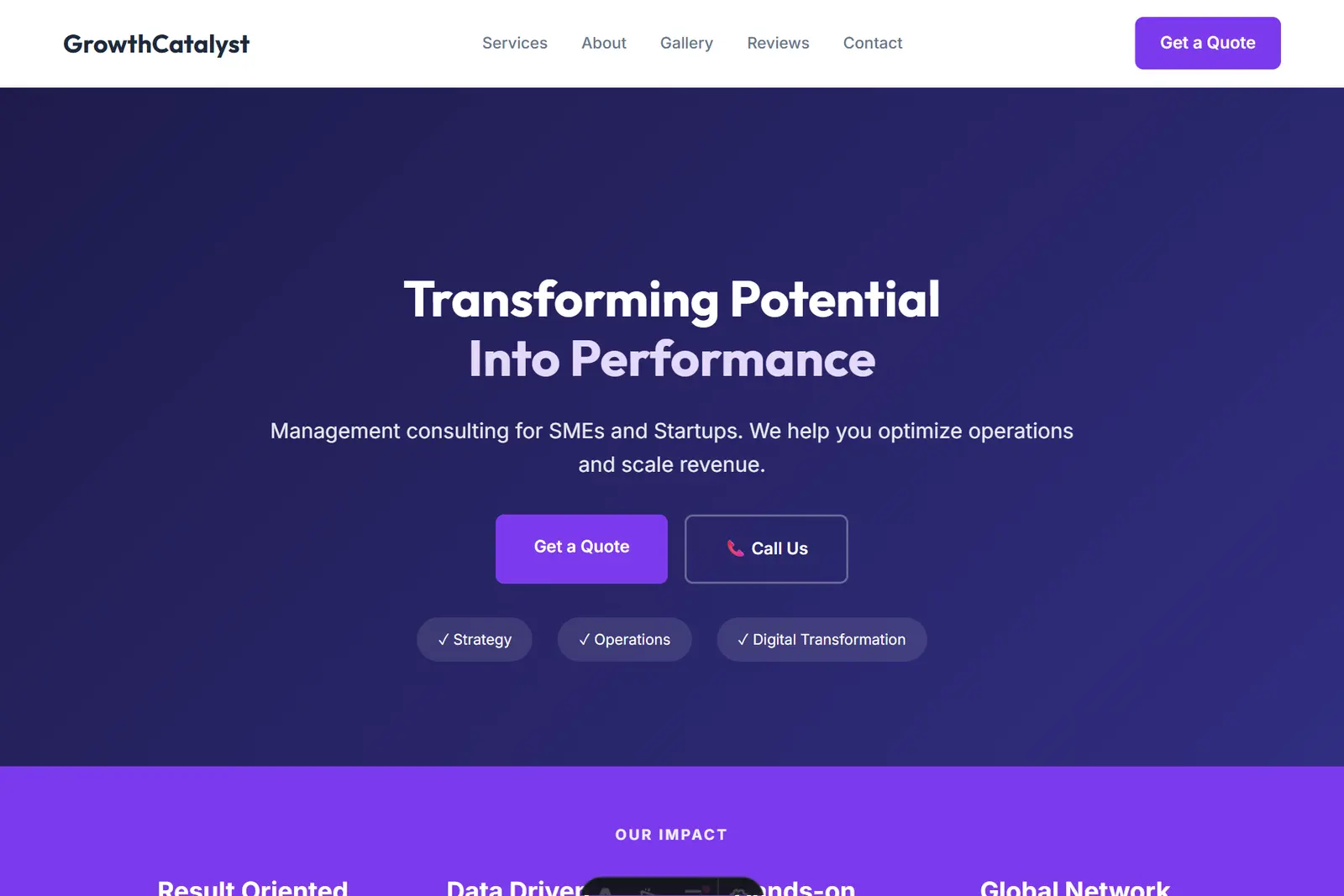 Screenshot of the Business Consultant demo website on a computer