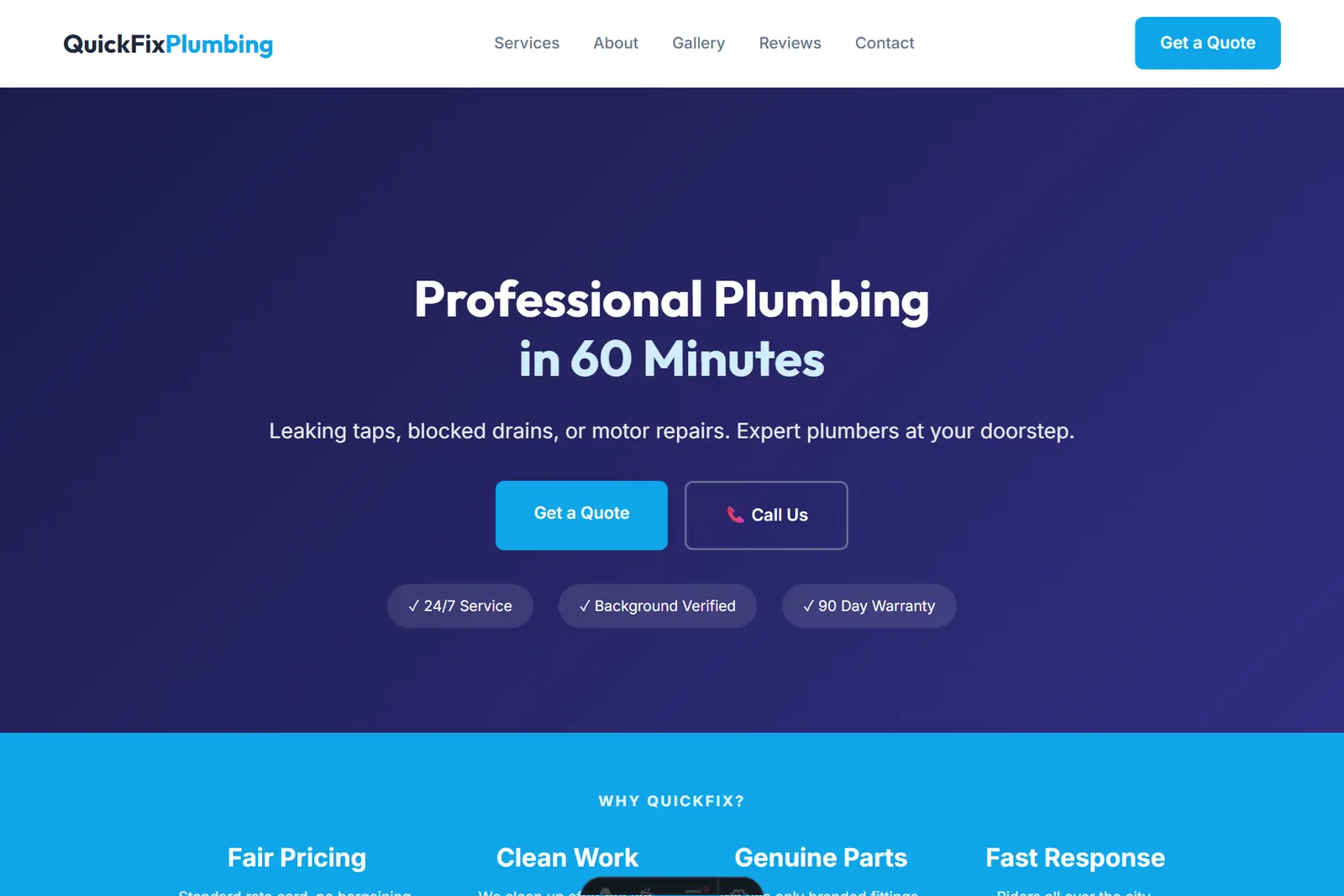 Screenshot of the Plumbing demo website on a computer