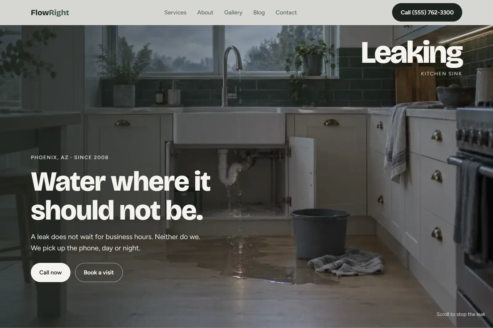 Screenshot of the Plumbing demo website on a computer